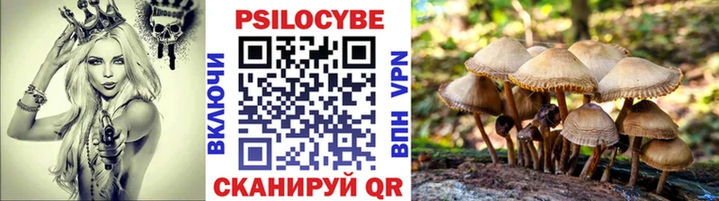 Галлюциногенные грибы прущие грибы  Змеиногорск 
