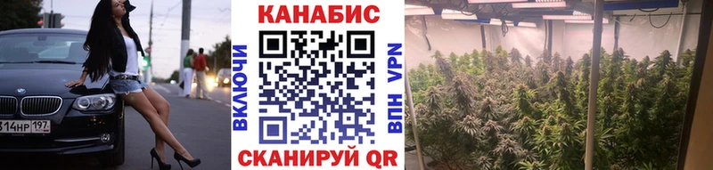 Шишки марихуана конопля  Змеиногорск 